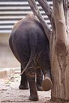 Zoo